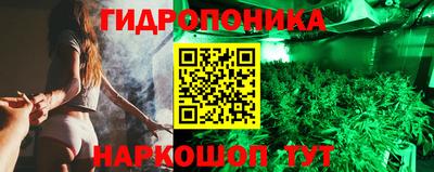 молекула духа Можга