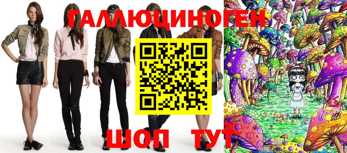 Псилоцибиновые грибы Psilocybe Усть-Илимск