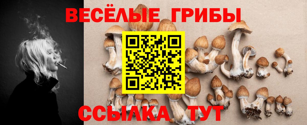 Усть-Илимск  Галлюциногенные грибы Psilocybine cubensis  Вход с VPN 